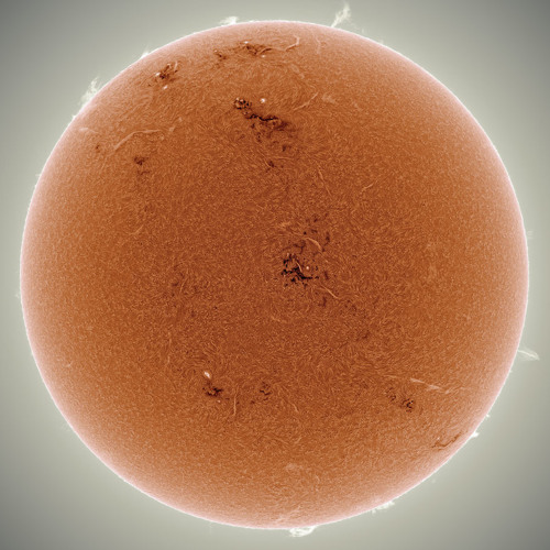 You Bring The Sun Out