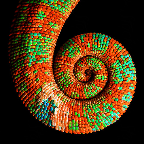 Spiraling Into Control