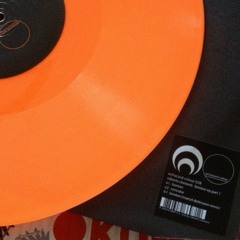 Echocord Colour 028 - Concolor