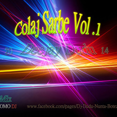 Colaj Sarbe Vol 1 Mix  Dj Dudu