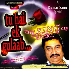 Aaj Mere Dil Ne (Tu Hain Ek Gulab) - Sanu (Album)