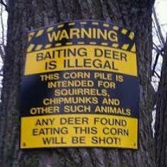 ° Hunting ° Season °