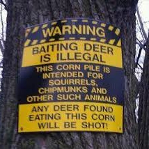 ° Hunting ° Season °