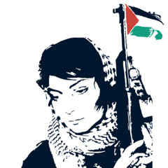 Kofia - Leve Palestina, Krossa Sionismen (2010)