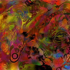 toon step dj/produce