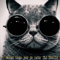 Mile Kitic - Mnogo toga jos je isto (DJ Sholle Remix 2014)