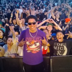 2013 HOUSE (PARTY MIX)