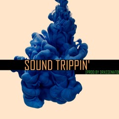 Sound Tripping (Tagged) |  Cerebral Assassins The EP Ft. SlimAB | Prod. By DrAssenator