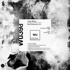 WU39d - Self Pulsation - Luis Ruiz -  preview