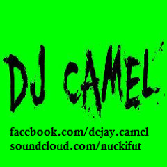 #008 DJ Camel - Full Electro songs (26-June-2014) {{{Old but Good}}}