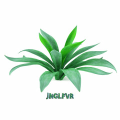 JNGLFVR Mini Mix (Mixed By DJ DARUMA)