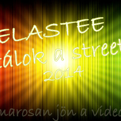 ELASTEE - Sétálok A Streeten [2014]