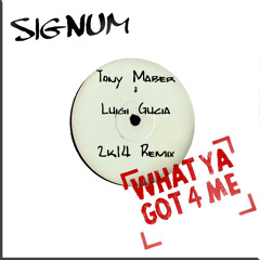 [FREE DOWNLOAD] What Ya Got 4 Me (Tony Maber & Luigi Gucia Remix 2k14)