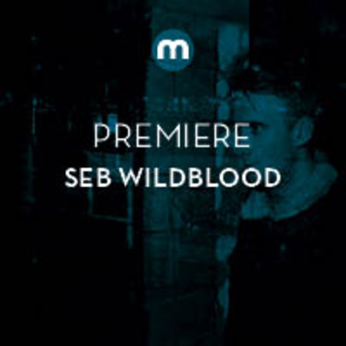 Premiere: Seb Wildblood 'Warm'