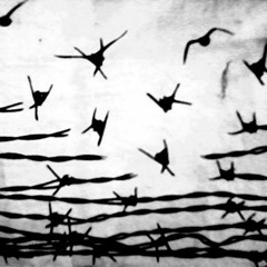 قصيدة التأشيرة- هشام الجخ