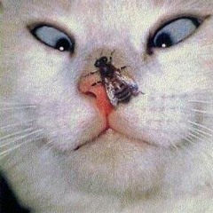 Kristofer Eytle - Does it Feel Good ( Real Love ) Test