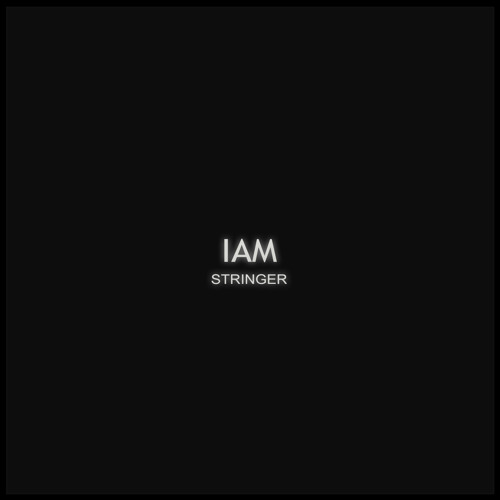 Stringer - IAM