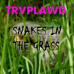 Snakes In The Grass Prod By. TRVPLAWD