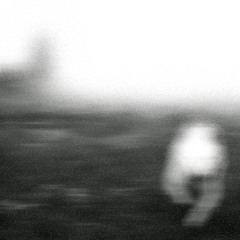 Leaves (Original Mix)