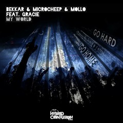 Bekkar & Microcheep & Mollo feat Gracie - My World ( cut preview) soon Hybrid Confusion