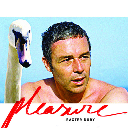 Baxter Dury - "Pleasure"