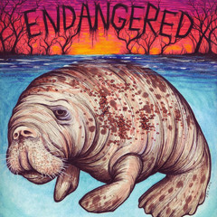 The Scandalmongers - Wired