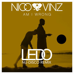 Am I Wrong (Ledo Nu - Disco Remix)