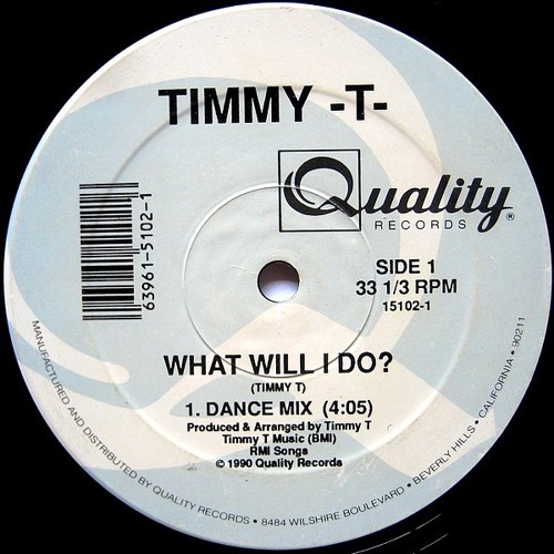 What Will I Do? TIMMY T