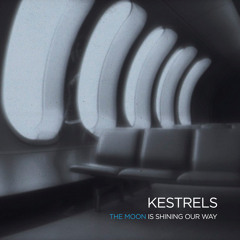 Kestrels - Wide Eyes