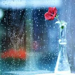 مُقْتَطَفات