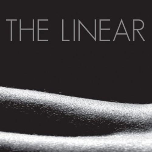 Umphrey's McGee - The Linear (Omn!pax ''Take It All Back'' DnB Fusion 12'' Cut)