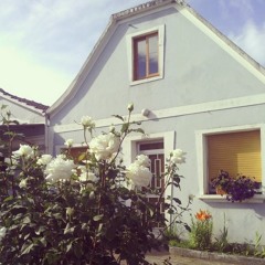 Don't Leave The House