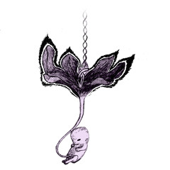 Restos de Violeta - Cuatro Arboles