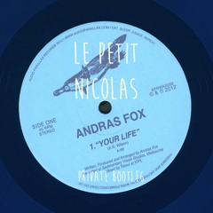 Andras Fox FCL - It's Your Life.           (Lepetitnicolas Mix)