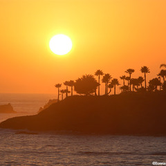 summer FREESTYLE mix