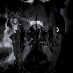 Amiensus II [Preview Clip] 6/27/14