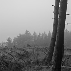 Waiting For The Federals Pt. 1 & 2 (Traditional).