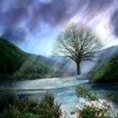 Beauty In All Things