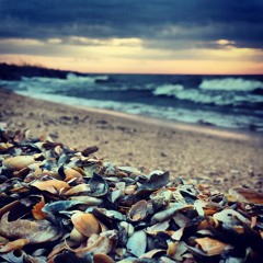 Shore
