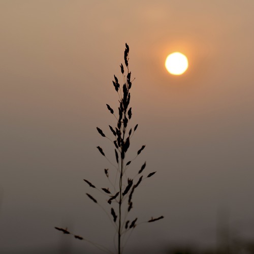 Sungha Jung - Dont Let Me Be Misunderstood