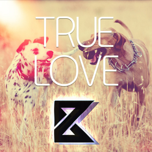 Beat The Noise - True Love (Original Mix)