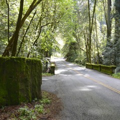 Post Op Shed Session