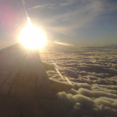 It Just Wont Do (Taste)