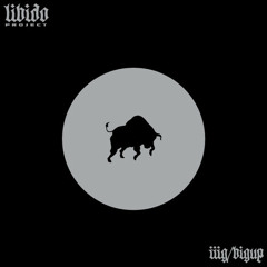 Big Up - lllG (DJ108 Remix)