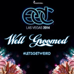 Live @ EDC Las Vegas 2014