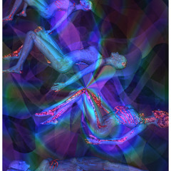 • The Other Dimension •