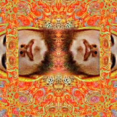 Dro-Fees (Trophies Remix)