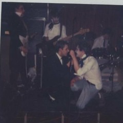 Wow Federation: Paradise on all Fours