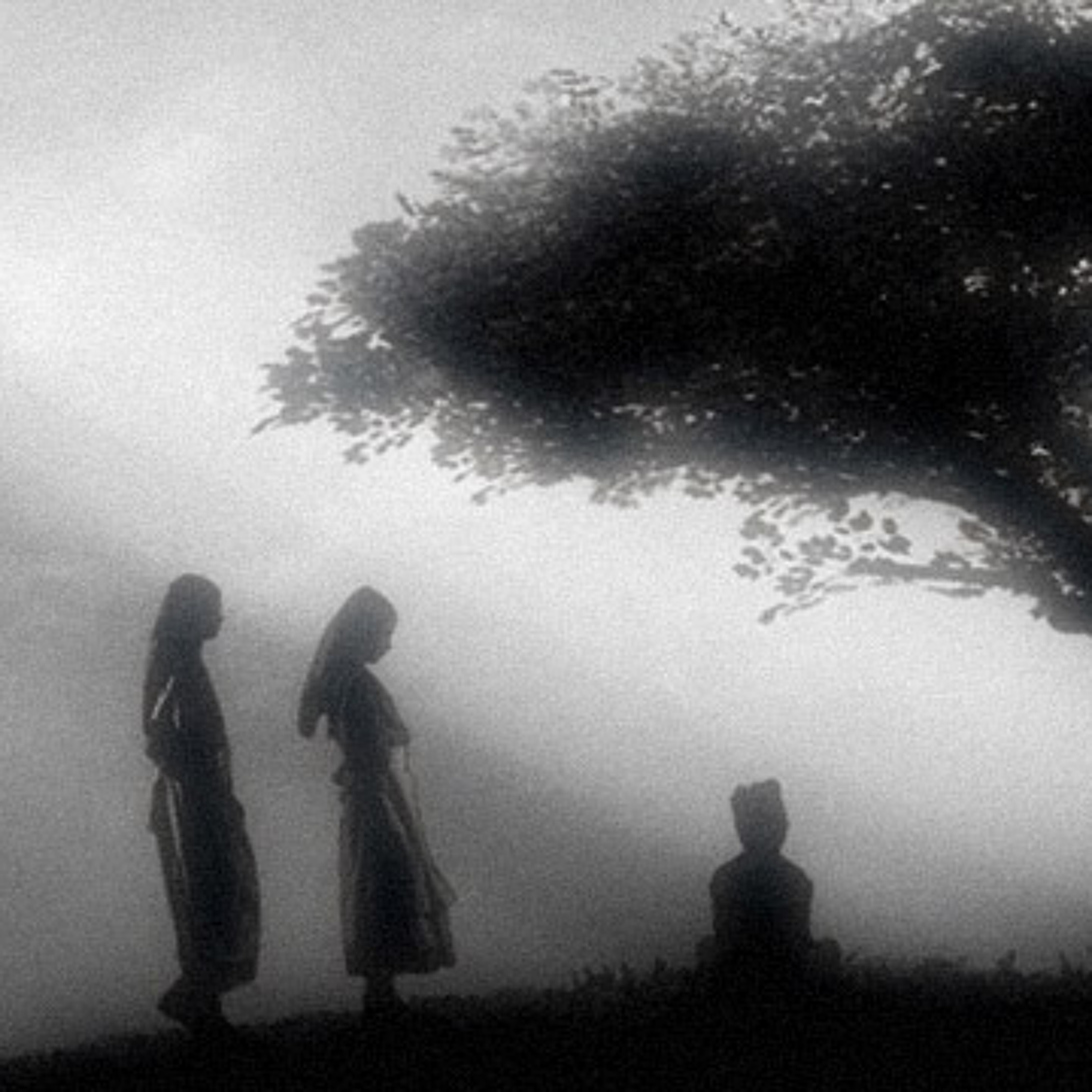 RC.218: Em que consiste a devoção dos cinco primeiros sábados do mês em honra à Virgem Maria? episode artwork