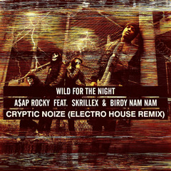 Wild For The Night (Cryptic Noize Electro House Remix)